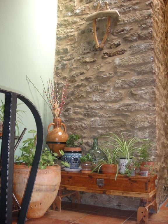 Casa Folch Guest House Castellfort Exterior foto